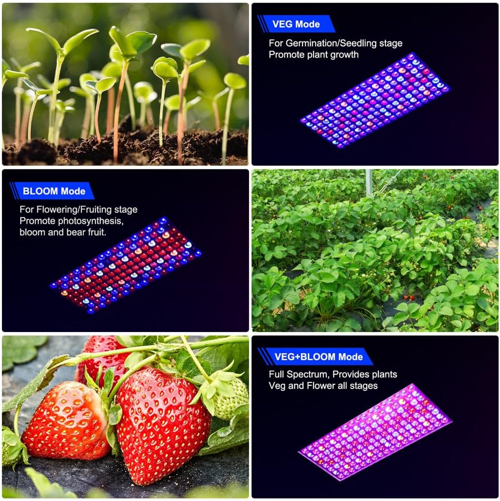 2024 Upgraded BW2000 LED Grow Lights Double Chips Full Spectrum with 10ft Cable for Greenhouse and Indoor Plant Veg and Flower Growing [White]