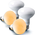24 Nha&FACA 100W Reptile Heat Lamp Bulbs – 100 Watt Basking Bulbs for Reptiles, Bearded Dragon, Lizard, Turtle, Snake – Daylight Heat Light Bulb for Reptile Tank, Amphibian Terrarium (4 Pack)