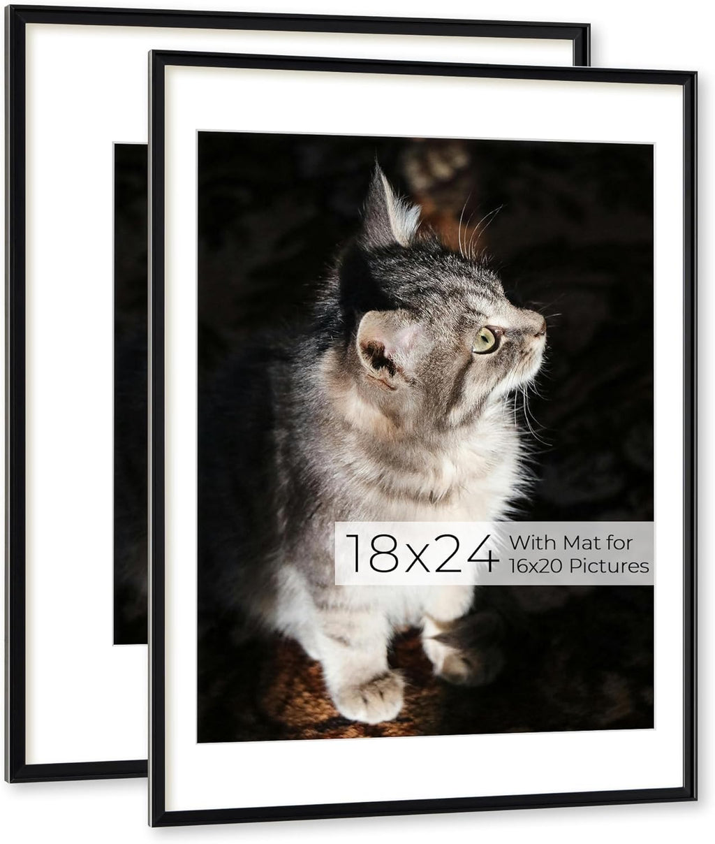 RICHFOCUS Aluminum Picture Frame - 18x24 Black Metal Frame with Mat for 16x20 Photo, Floating Frame with Tempered Glass - Poster Frame Wall Hook Included for Gallery Wall, Set of 2