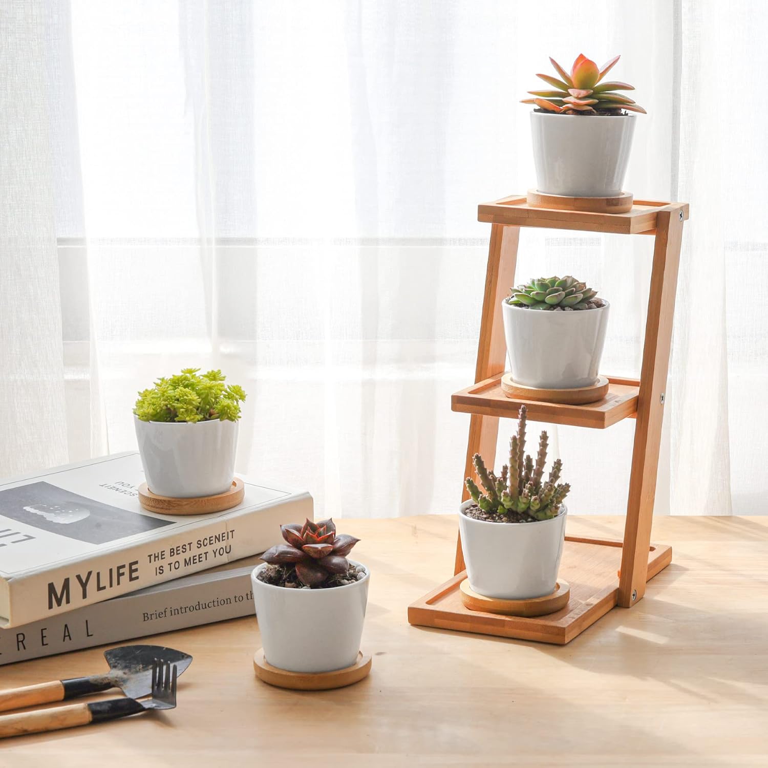 T4U 2.5 Inch Mini White Succulent Planter Pots with Bamboo Tray Round Set of 12, Tiny Ceramic Succulent Air Plant Flower Pots Cactus Faux Plants Containers, Gifts for Plant Lover, Home Office Decor