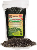 Elevate Your Space with Gardenera's Organic Potting Mix - Tailored for Thriving Aglaonema Plants and Lush Leaves - 2 Quart