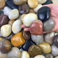 10 lbs Pebbles for Indoor Plants, 2-3 inch Large River Rocks Decorative Stones for Garden, Aquarium, Vase Fillers, Outdoor Landscaping and Backyard