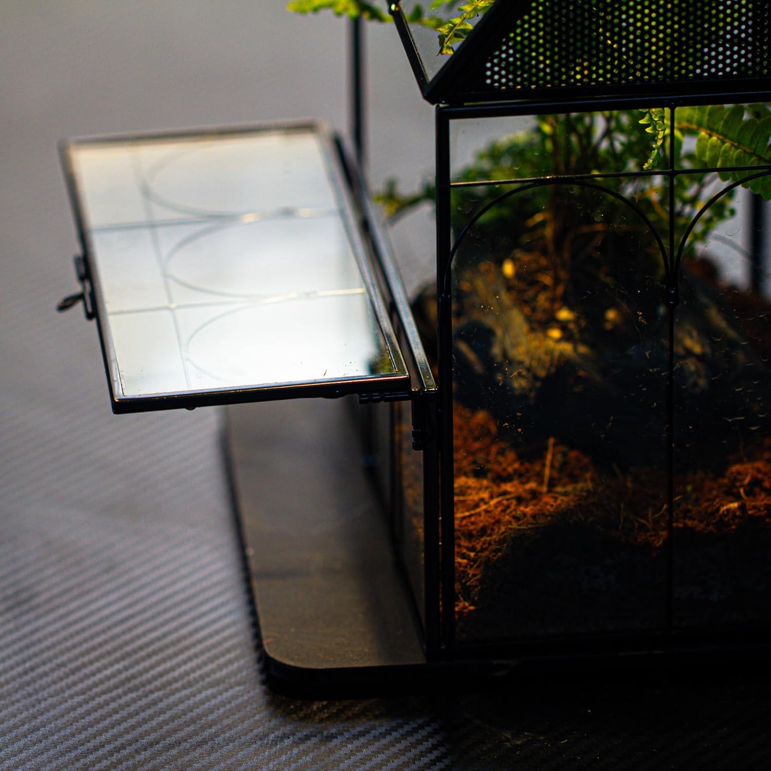 NCYP Glass Enclosure with Vent Holes for Insect, Jumping Spiders - 7.5" x 4.9" x 9" Small Closed Front Opening Door Succulent Terrarium - House Shape Habitat, Home Decor Black (No Plants)