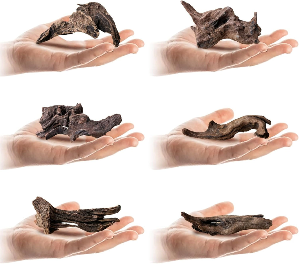 Tfwadmx Natural Small Coral Driftwood for Aquarium Decor 6 Pcs 4-5" Fish Tank Decorations Reptile Decor Assorted Driftwood Branch Reptile Tank Wood Decor