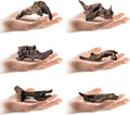Tfwadmx Natural Small Coral Driftwood for Aquarium Decor 6 Pcs 4-5" Fish Tank Decorations Reptile Decor Assorted Driftwood Branch Reptile Tank Wood Decor