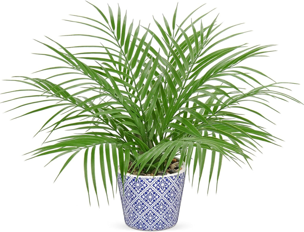 Hollyone Large Artificial Potted Plants Fake Palm Plants 16" Faux Green Plant Plastic Tropical Palm Tree in Blue and White Ceramic Pots Bohemian for Home Room Office House Indoor Decoration