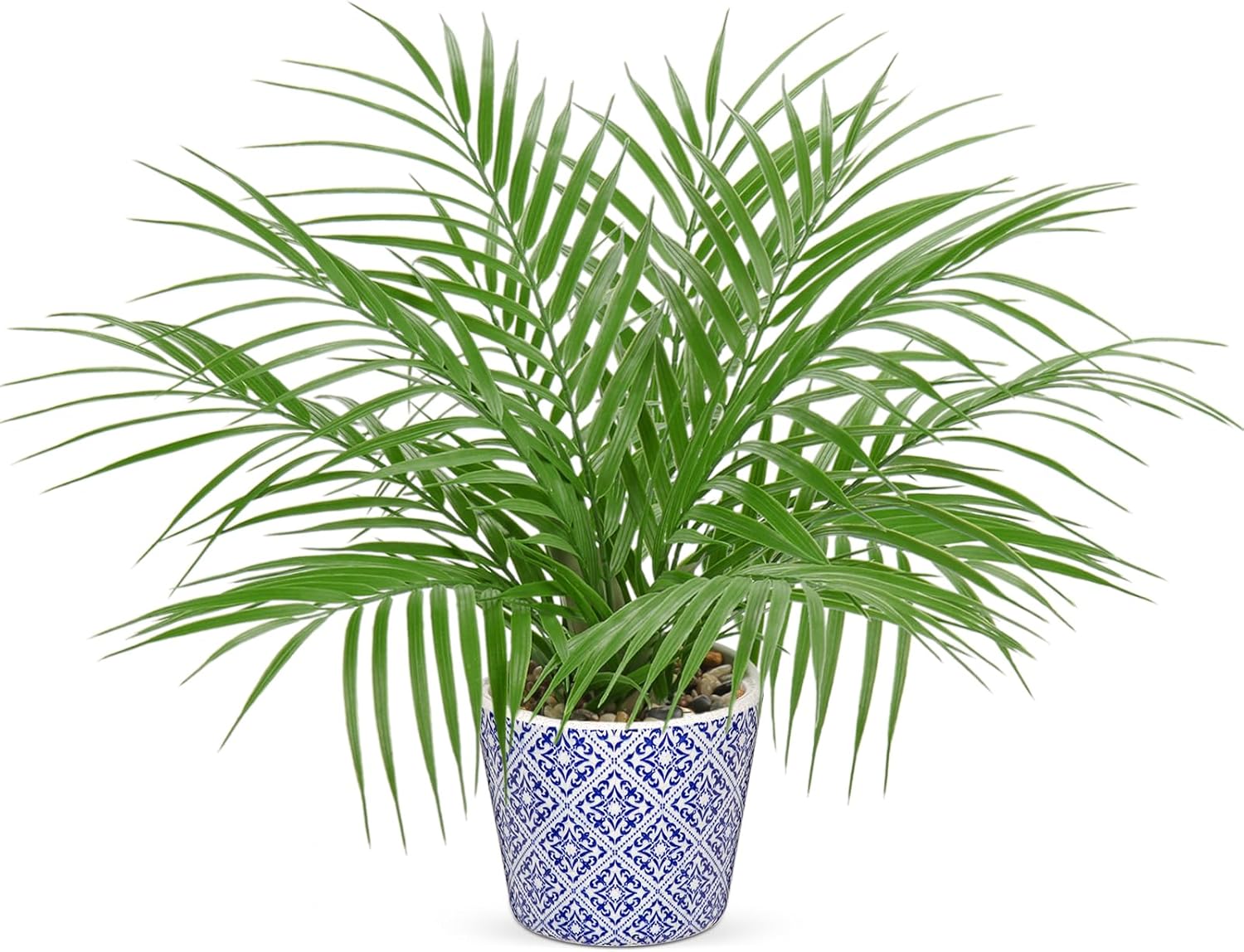 Hollyone Large Artificial Potted Plants Fake Palm Plants 16" Faux Green Plant Plastic Tropical Palm Tree in Blue and White Ceramic Pots Bohemian for Home Room Office House Indoor Decoration