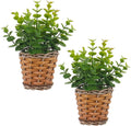 2 Pack Small Fake Plants Eucalyptus Potted Artificial Plant for Table,Bathroom,Farmhouse, Home Décor