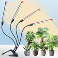 GameChanger! 36W, NOT 15W, 4Head Strong Clip Grow Lights for Indoor Plants with Timer, Best Gift for Plants Lover, LED Plant Growing Lamp for Houseplants, Bonsai, Seed Starting, Seedlings, VEG, Flower