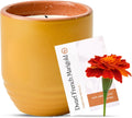 Modern Sprout Garden Vibes 2-in-1 Soy Candle & Planter - Last Light (Bug-Repelling Citronella, Rosemary, Cedarwood, Mint) 6 Oz Scented Candle with Marigold Seeds - Dual Purpose Jar - 38-40 Hour Burn