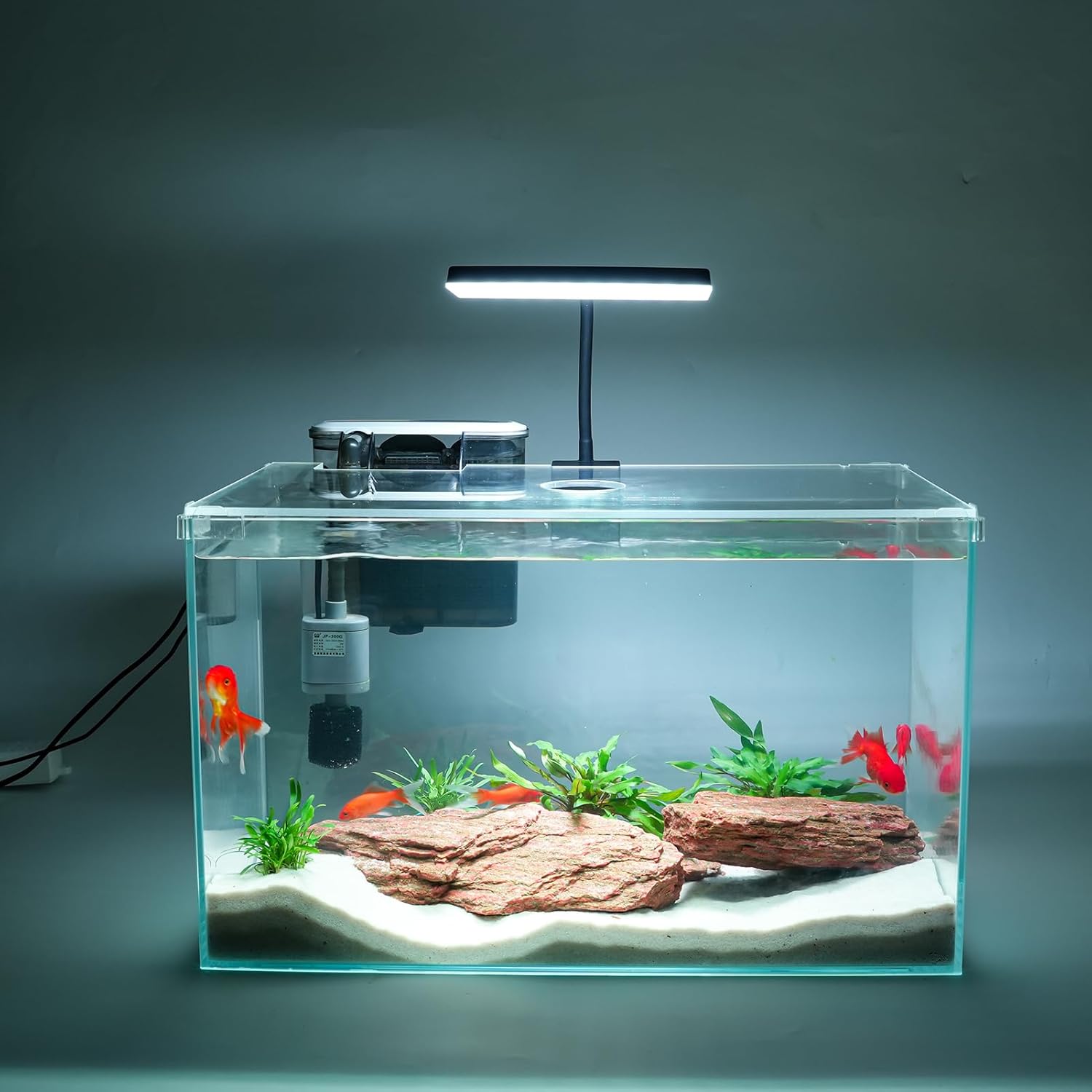 10 Gallon Glass Small Fish Tank with Filter Light and Lid, Aquarium Starter Kit