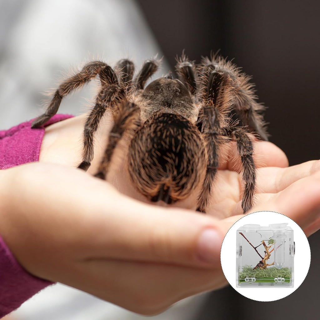 COHEALI Reptile Breeding Box Small Portable Acrylic Spider Terrarium with Dropper and Forceps Transparent Moisture- Enclosure for Small Crawling Insects and Jumping Pets
