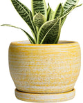 SQOWL Ceramic Planter - 6 Inch Plant Pot Indoor with Drainage Hole and Saucer, Decorative Ceramic Flower Pot Outdoor, Round Succulent Planters, Home Office Bedroom Decor, Birthday Gifts, Yellow