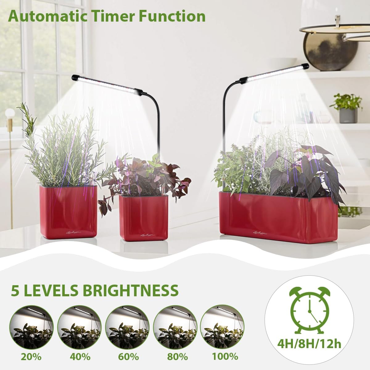 Grow Light 2 Pack, 6000K Full Spectrum Gooseneck Growing Lamp for Indoor Pot Plants Bonsai/Plant/Houseplants, Dimmable & Auto Timer 4 8 12H