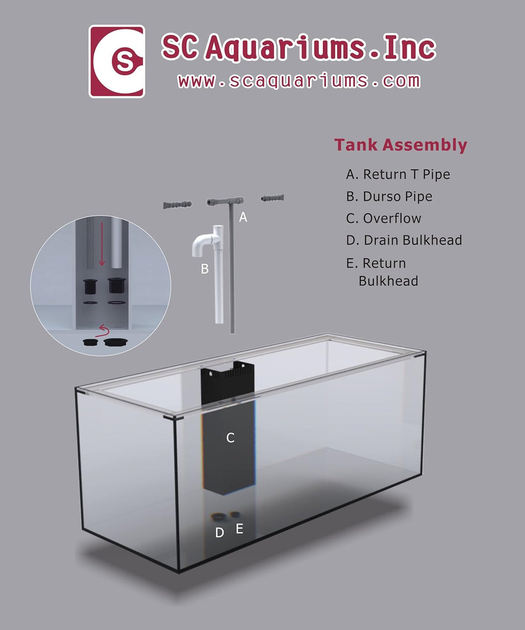SCA 50 Gallon Starfire Glass Aquariums Complete Package Pnp System 24x24x20 10mm White Cabinet