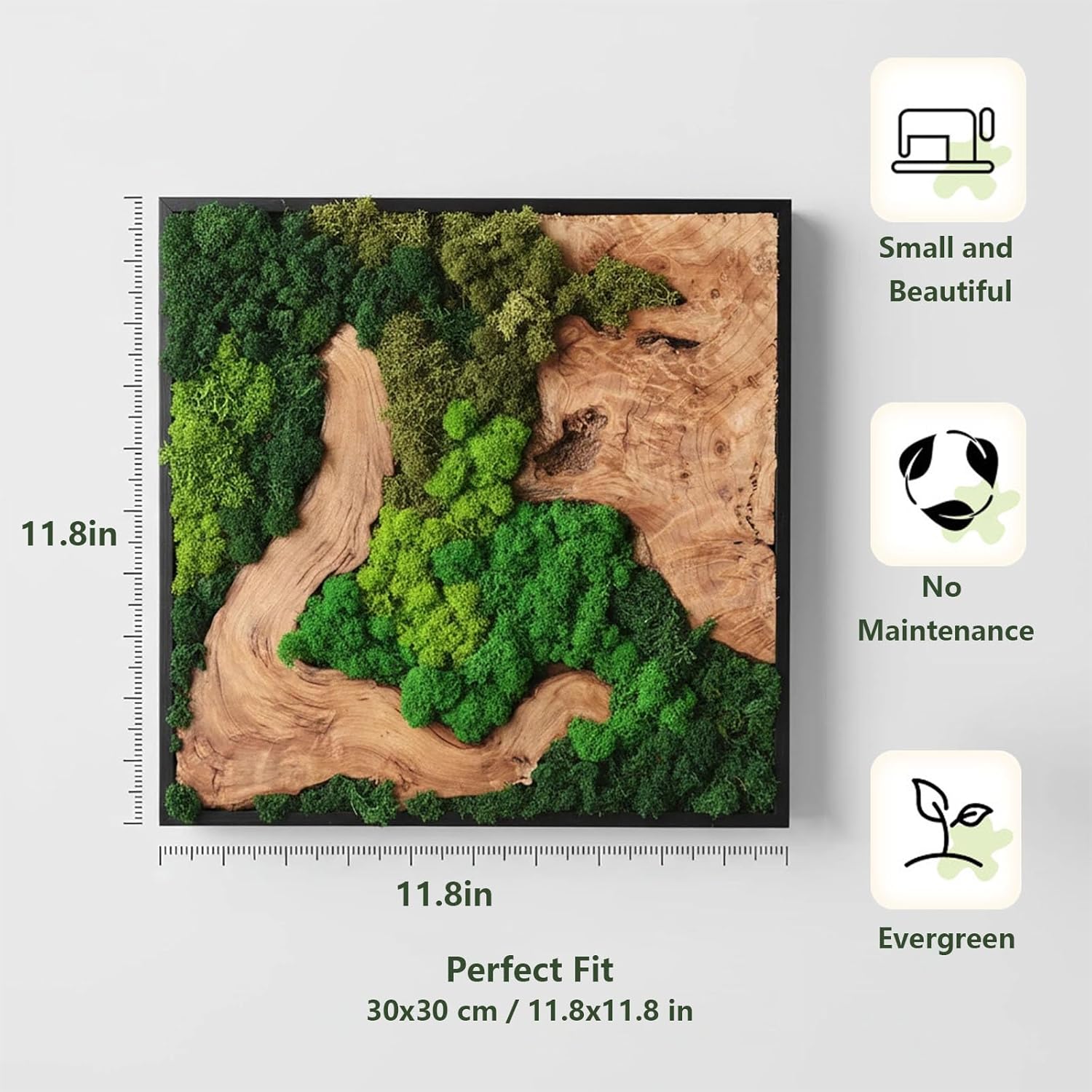 vadmepiop Natural Preserved Moss Wall Art with Real Wood Frame, Handcrafted Maintenance-Free Moss Wall Panel for Home Decor, Office, Restaurant, Bar & Cafe (Square, 11.81in)