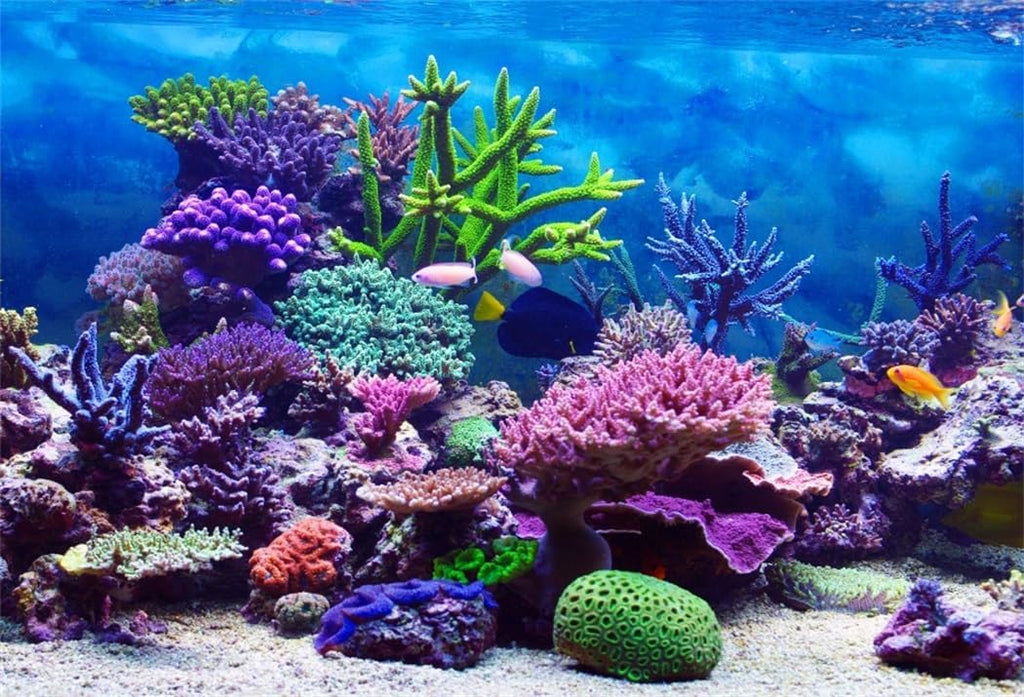 AOFOTO 8x6ft Under The Sea Backdrop Underwater Seascape Coral and Fish Aquarium Photography Background Marin Ocean Diving Atoll Reef Summer Kids Birthday Artistic Portrait Photoshoot Studio Props
