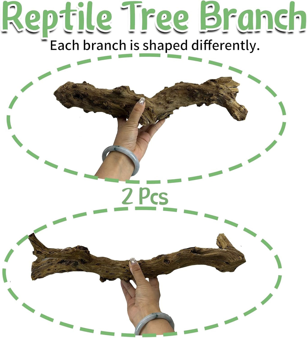 Reptile Branch Decor 2 Pcs Snake Climbing Wood Branches Lizard Habitat Decorations Terrarium Natural Forest Tree Trunk Ornament for Bearded Dragon Geckos Chameleon Frog