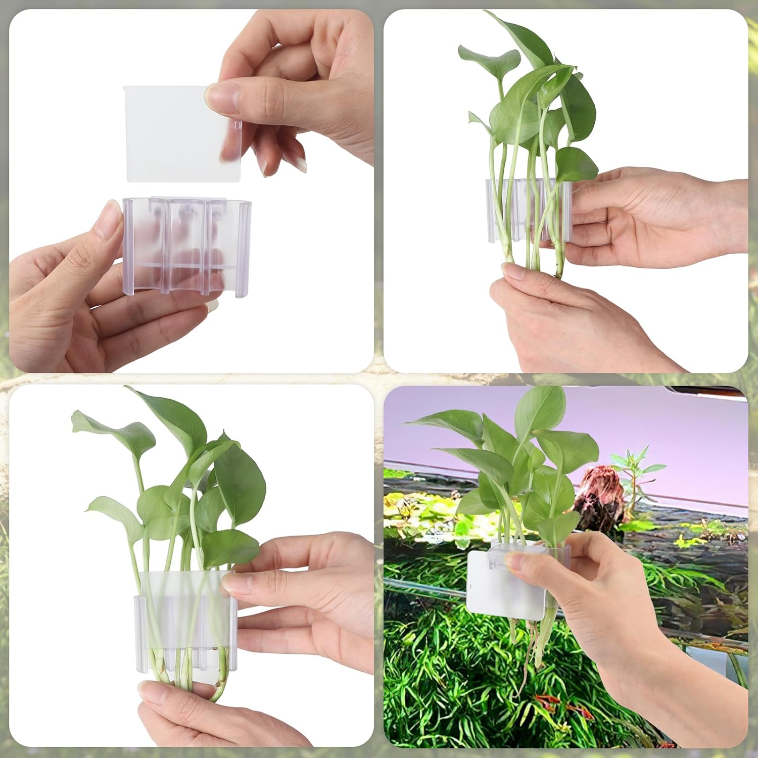 2 Pack Hanging Aquarium Plant Holder – 3 Holes Aquatic Plant Cups, Fish Tank Holder for Aquatic Plants, Ideal for Aquarium Tank Decoration(Transparent)