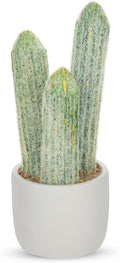 DILATATA 9.8' Small Old Man Cactus Faux Cacti Plant ARTIFICIAL Cactus for Home Garden Office Decor Housewarming Gifts