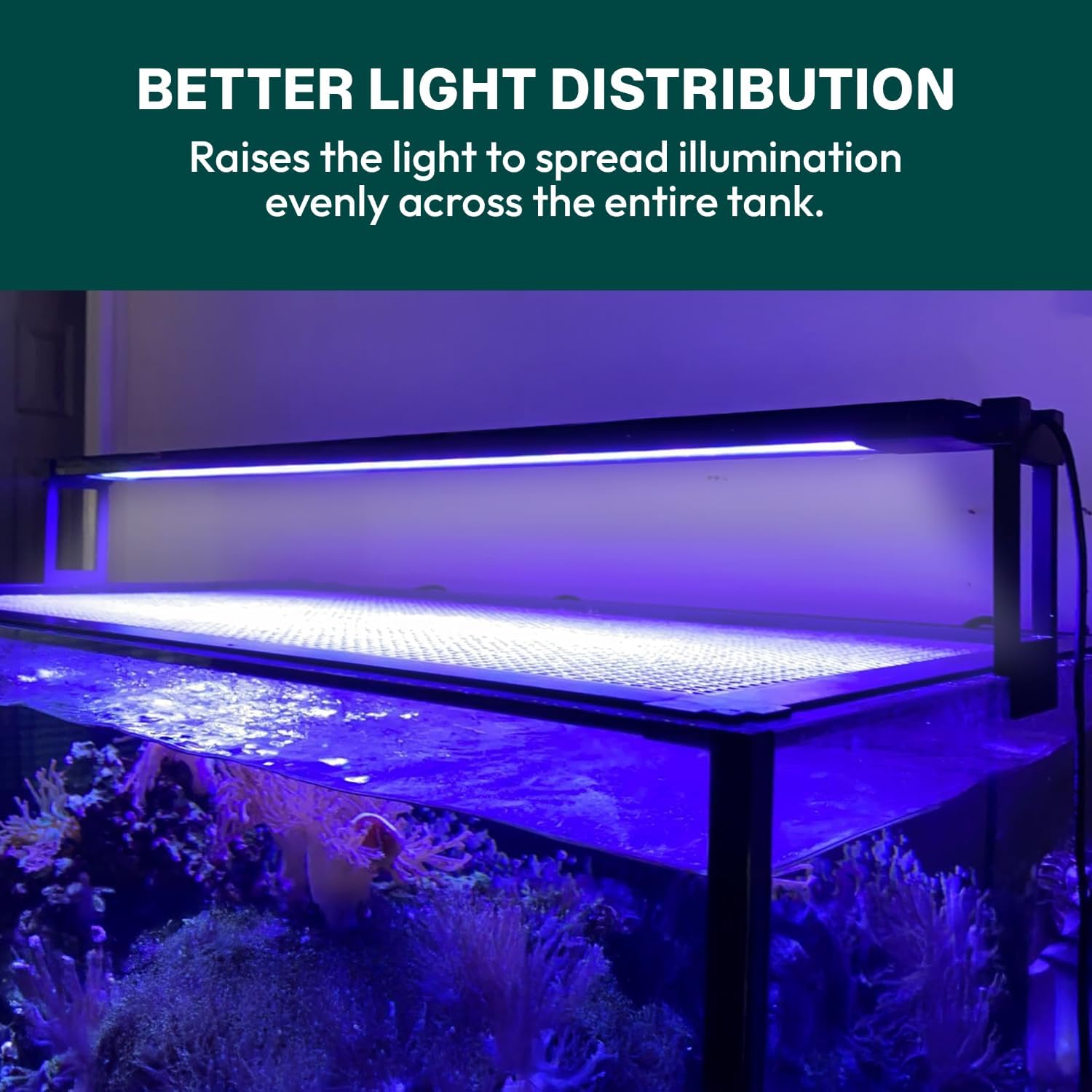 Crafted LA 6-Inch Light Riser Set for Aquarium Lights Compatible with Fluval Plant & Marine 3.0 LED Heat Resistant Polymer with Double Sided Tape Tooless Mounting