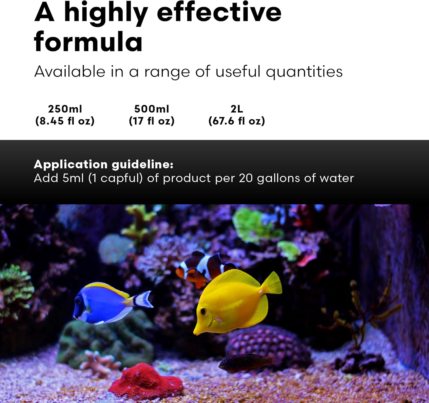Brightwell Aquatics - ChaetoGro - Algae Nutrient Supplement for Chaetomorpha Growth in All Marine Fish Tanks - Multi-Nutrient Aquarium Water Treatments, 8.45 fl oz