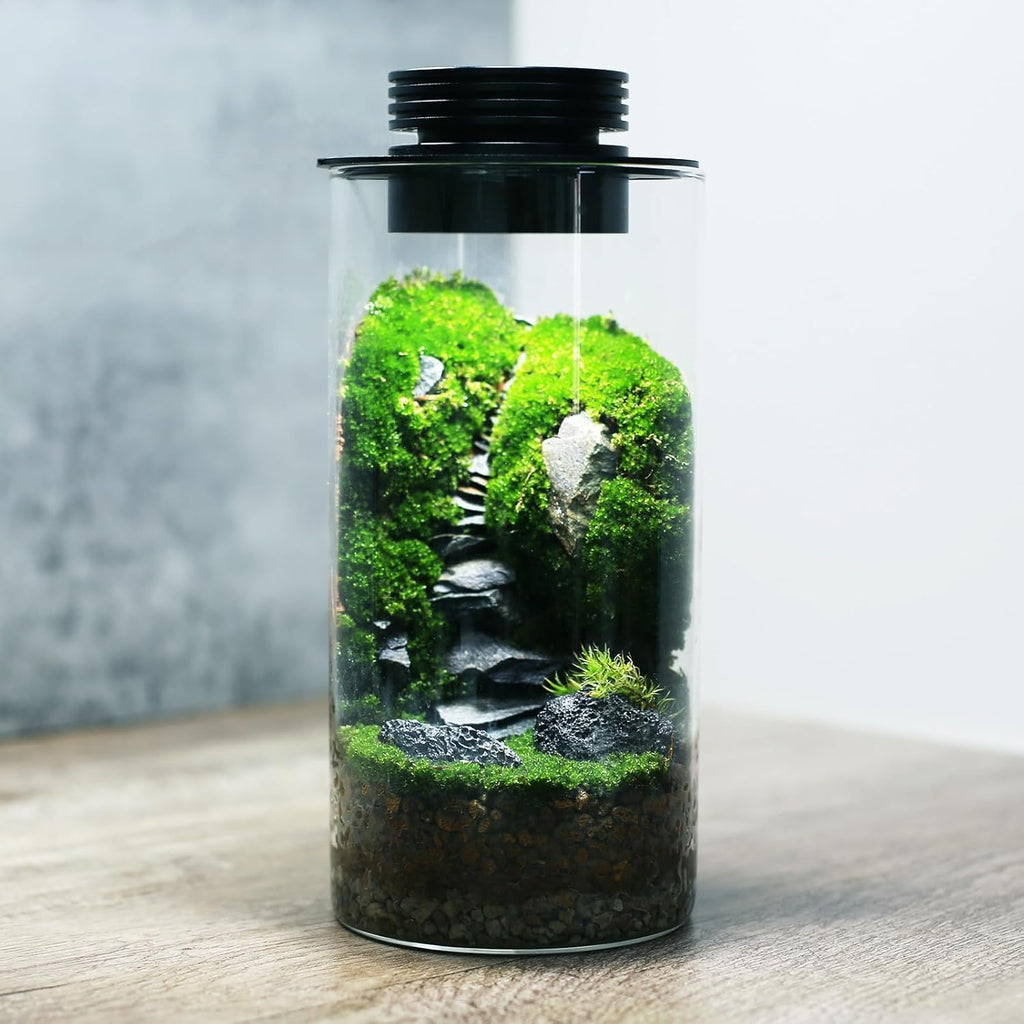 Desktop Glass Plant Terrarium with Grow Light (H:7.8" D:4"), for Succulent, Moss, Miniature Gardening Landscape, Betta Fish Tank, Office Home Decoration, Plant Lovers Gifts