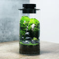 Desktop Glass Plant Terrarium with Grow Light (H:7.8" D:4"), for Succulent, Moss, Miniature Gardening Landscape, Betta Fish Tank, Office Home Decoration, Plant Lovers Gifts
