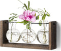 Kingbuy Plant Terrarium with Wooden Stand, Glass Planter Desktop Propagation 3 Bulb Vase Metal Holder Retro Rack for Hydropoincs Plants Home Office Decor, Brown