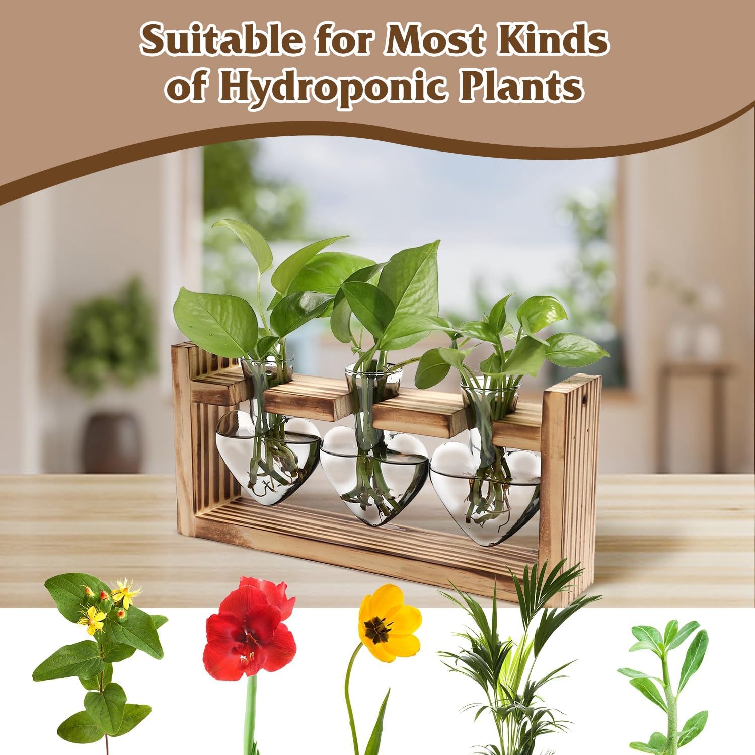 Plant Propagation Station, Plant Terrarium with Wooden Stand, Tabletop Glass Planter Desktop Plants Propagation Vase for Hydroponics Plants - 3 Heart Shaped Vases