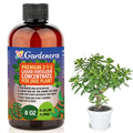 Gardenera Premium Liquid Jade Fertilizer - 3-1-2 Concentrate for Indoor Plants and Flowers - Organic Plant Food - 8oz
