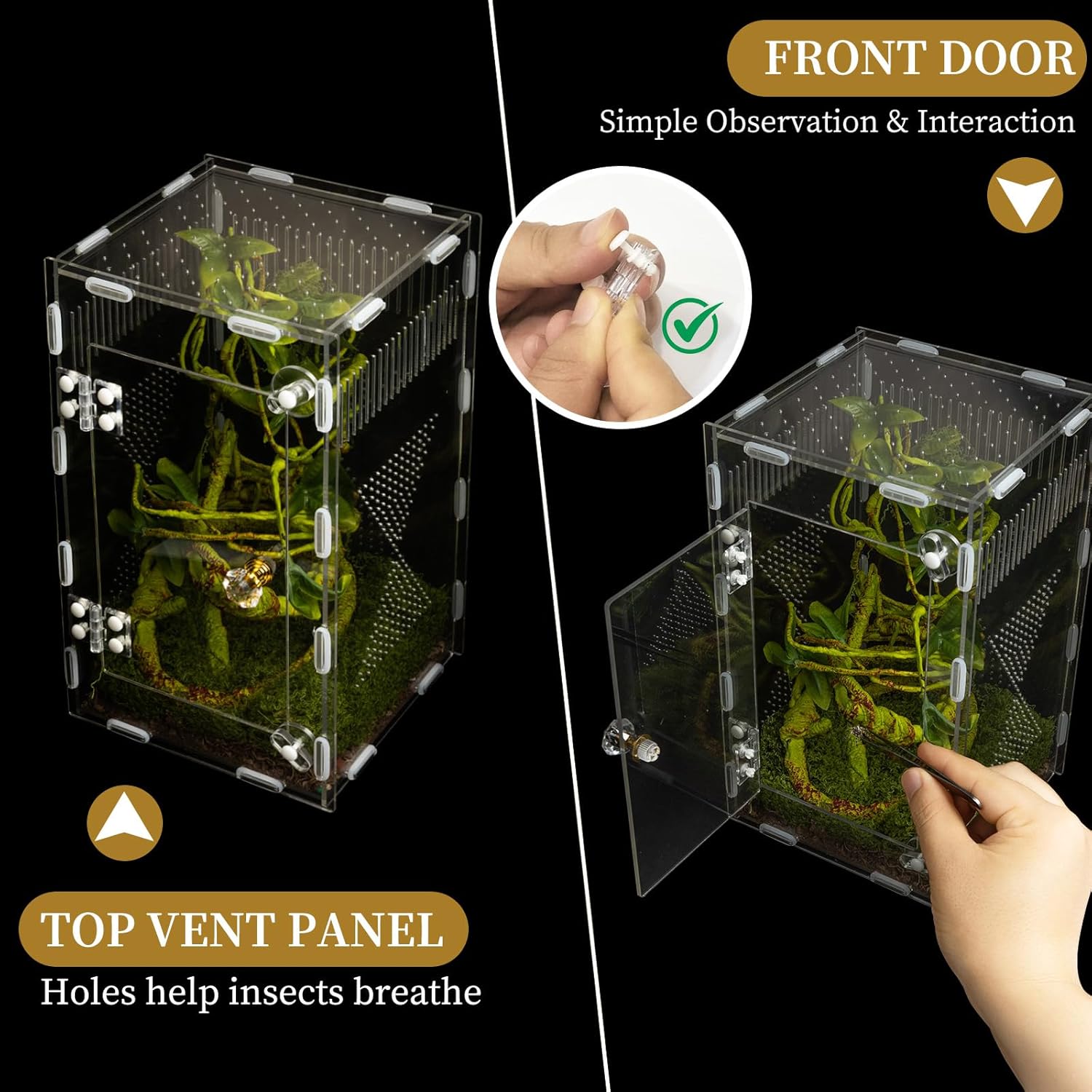 Acrylic Jumping Spider Habitat, Reptile Terrarium Easy Assembly, Bug Enclosure, Praying Mantis Habitat, Frog Enclosure, 9.8 * 5.9 * 5.9in