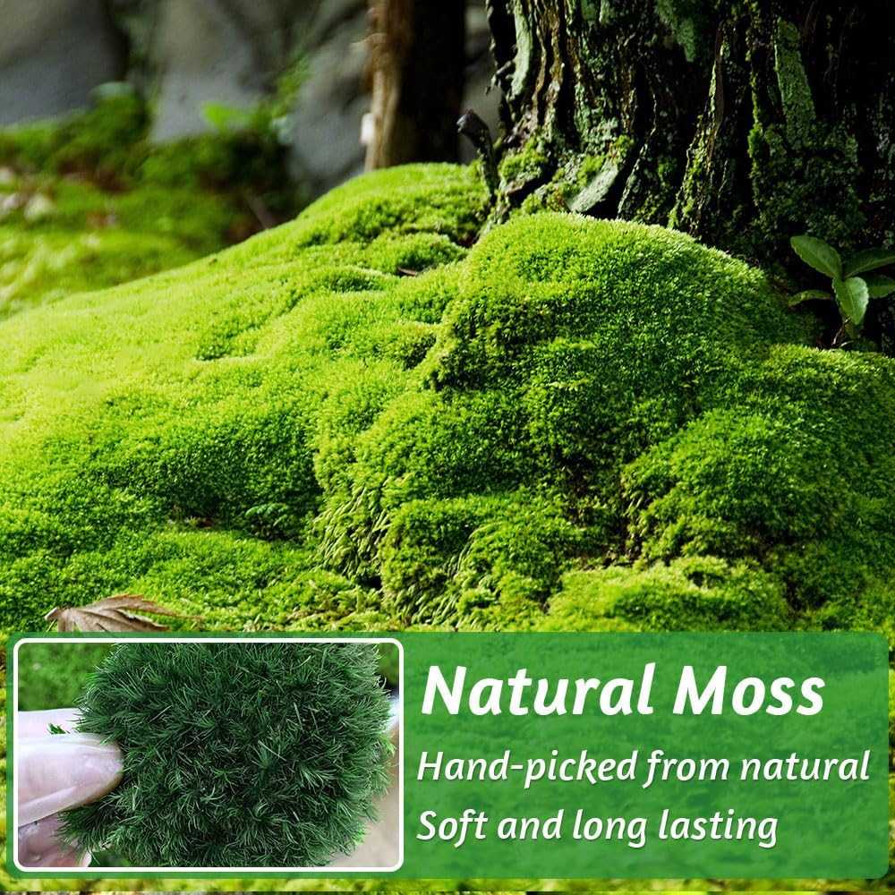 TCYPUHL Preserved Pillow Moss Bulk (1 Sq.Ft Dark Green) - Natural Cushion Moss for Wall Art, Home Decor - Christmas Crafts, Holiday Decorations and Gift Giving DIY Craft, Floral Arrangements