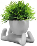 Zerzsy Faux Succulents in Cement Pots Potted Mini Fake Plants for Desk Decoration,Kitchen Shelf Decor, Office Decor for Women, Bathroom Shelf PlantDecor -Set of 1