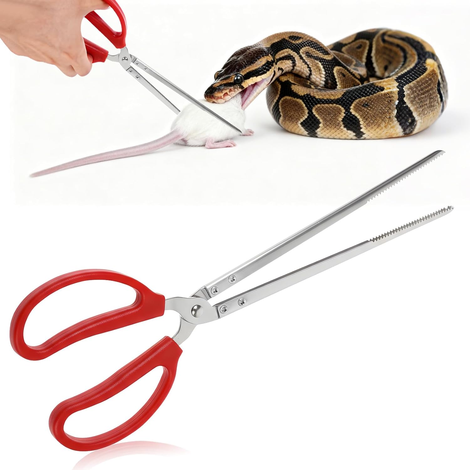 Snake Feeding Tongs, 15 Inch Extra Long Stainless Steel Reptile Feeding Tongs & Tweezers for Corn Ball Python,Bearded Dragon Tank Accessories,Pet Terrarium Supplies for Lizard, Leopard Crested Gecko