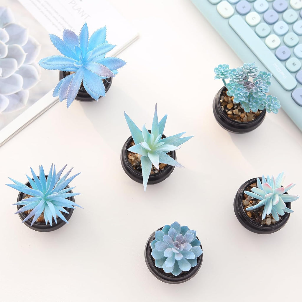 GREENTIME 6 Pcs Blue Artificial Succulent Plants in Mini Black Plastic Pots Small Fake Succulent Plant Faux Indoor Decor Bedroom Desk Bathroom Office Living Room Table Shelf Home Decoration