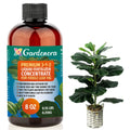 Premium Liquid Fiddle Leaf FIG Plant Fertilizer - 3-1-2 Concentrate for Indoor Plants and Flowers by Gardenera | Organic Plant Food for Fiddle Leaf Fig - 8oz