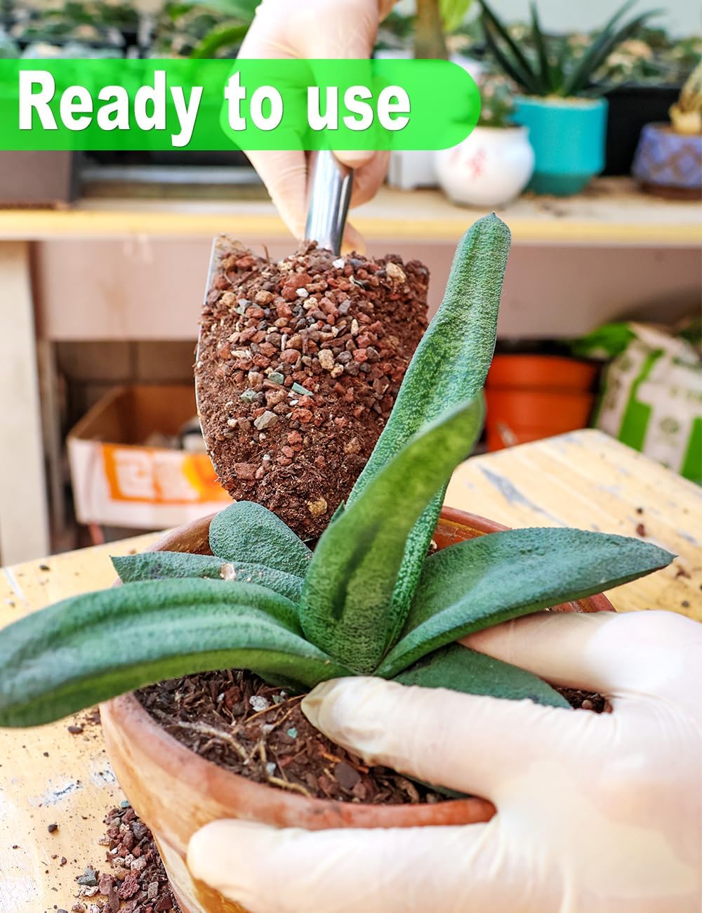 TOYPOPOR Succulent Soil, Cactus Potting Mix 12.5 Pounds/10QTS, High Drainage, Pre-Mixed Ready to Use for All Succulent Varieties, Indoor Plants, Bonsai, Terrarium, Houseplant, 30% Particles 70% Soil