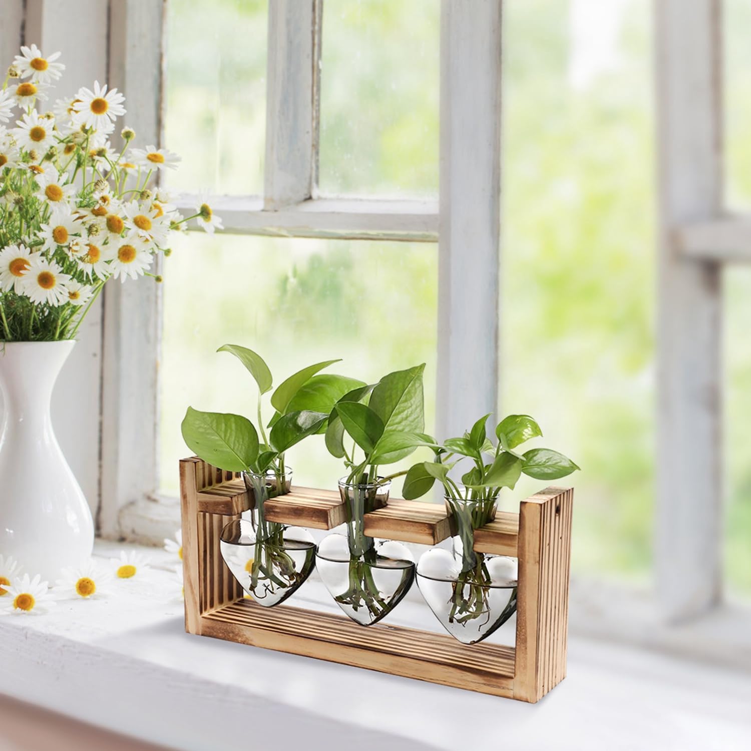 Plant Propagation Station, Plant Terrarium with Wooden Stand, Tabletop Glass Planter Desktop Plants Propagation Vase for Hydroponics Plants - 3 Heart Shaped Vases