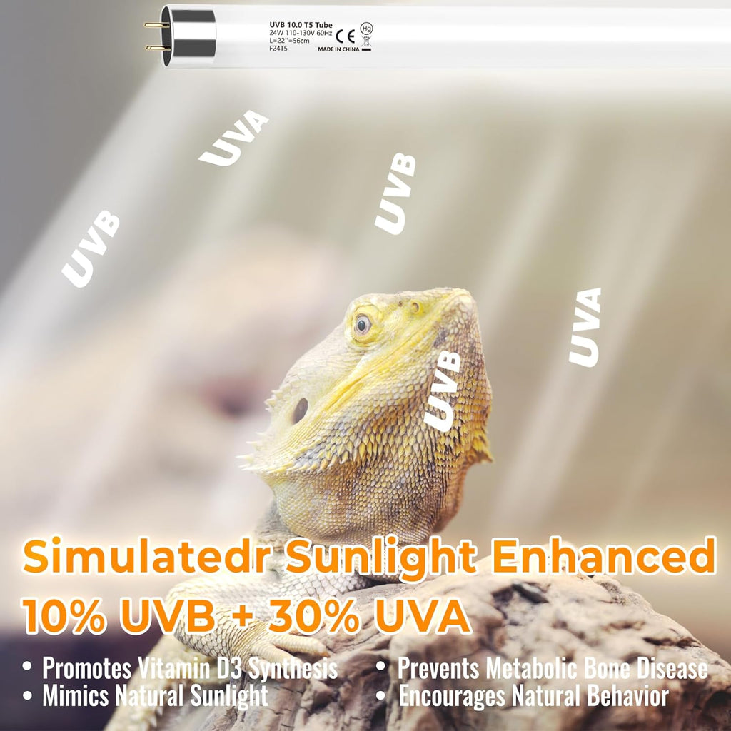 3 Pack T5 10.0 UVB Reptile Light Bulbs 8W 12" – UVA UVB Light Tube for Bearded Dragons, Turtles, Chameleons, Lizards, and Amphibians – Reptile UVB Bulbs for Desert & Tropical Habitats