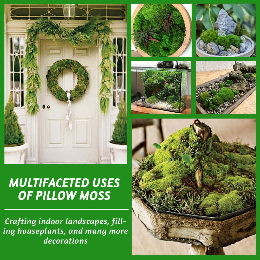 TCYPUHL Preserved Pillow Moss Bulk (2.4 Sq.Ft Yellow Green) - Natural Cushion Moss for Wall Art, Home Decor - Christmas Crafts, Holiday Decorations and Gift Giving DIY Craft, Floral Arrangements