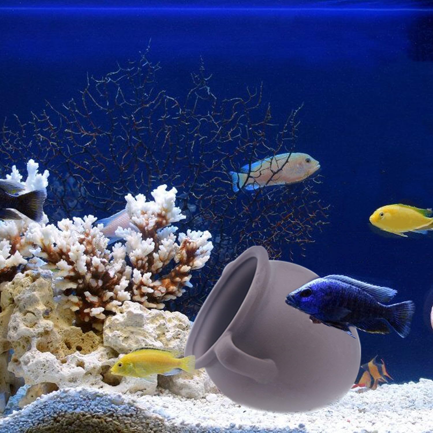 AnRui Ceramic Jar Aquarium Ornament Decor Natural Clay Vase Betta House Hideout Cave Pot Fish Tank Decorations Accessories for Cichlid, Small Fish, Shrimp to Play Hide Breed Habitat, Small