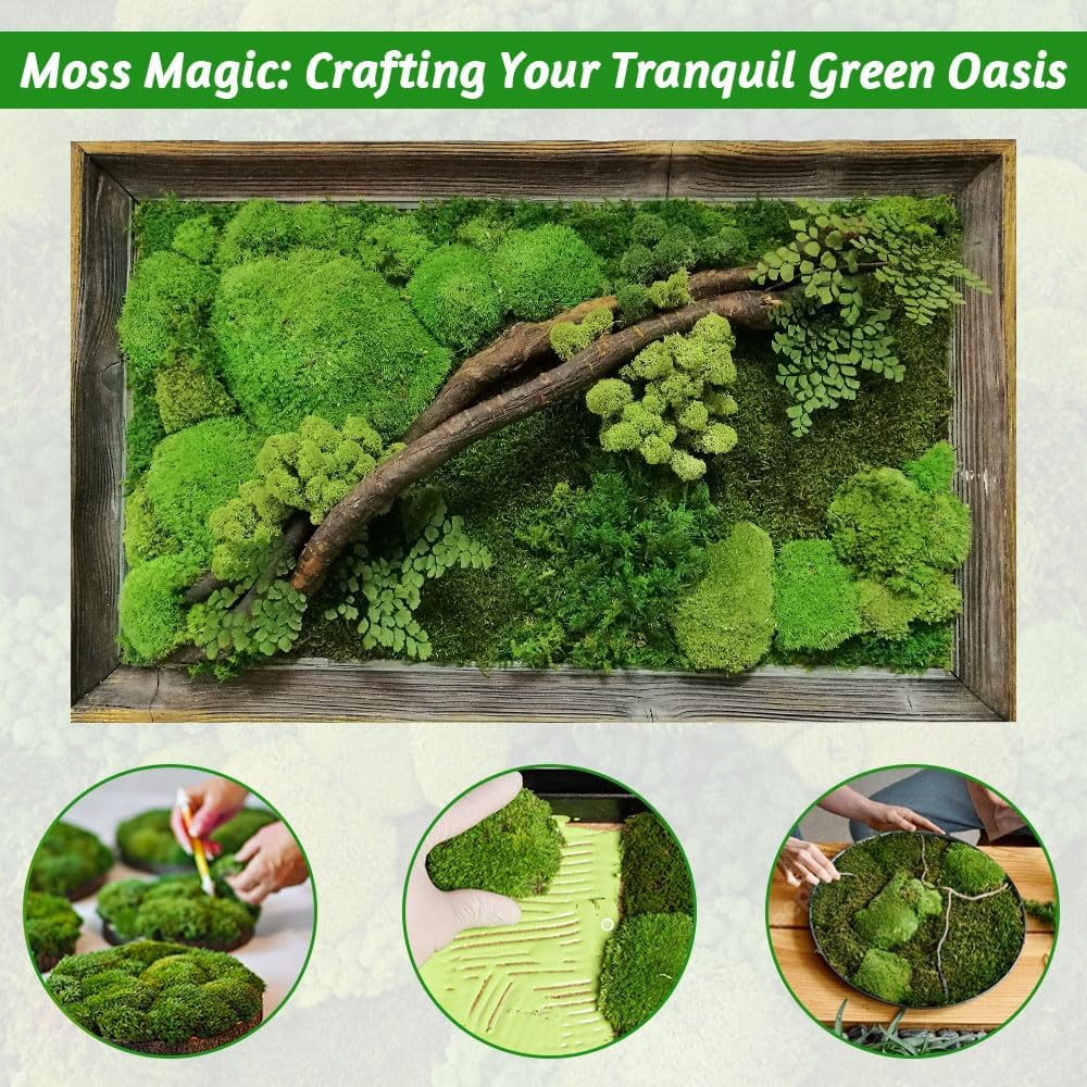 TCYPUHL Preserved Pillow Moss Bulk (2.4 Sq.Ft Yellow Green) - Natural Cushion Moss for Wall Art, Home Decor - Christmas Crafts, Holiday Decorations and Gift Giving DIY Craft, Floral Arrangements