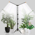 YEOLEH Floor Lamp Grow Light for Large Tall Plants Indoor, 6000K White Full Spectrum Plant Growing Light with Red Blue LED, Foldable Light Strip, Dimmable & Timer Function, Height 17-62‘’