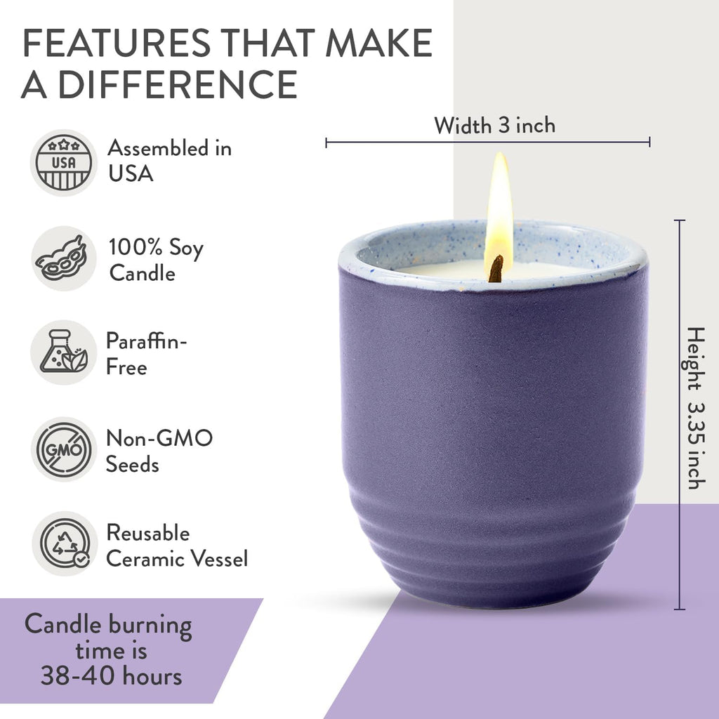 Modern Sprout Garden Vibes 2-in-1 Soy Candle & Planter - Violet Hour (Lavender, Grape Soda, Wild Iris, Violet) 6 Oz Scented Candle w/Lavender Seeds - Ceramic Vessel Dual Purpose Jar - 38-40 Hour Burn