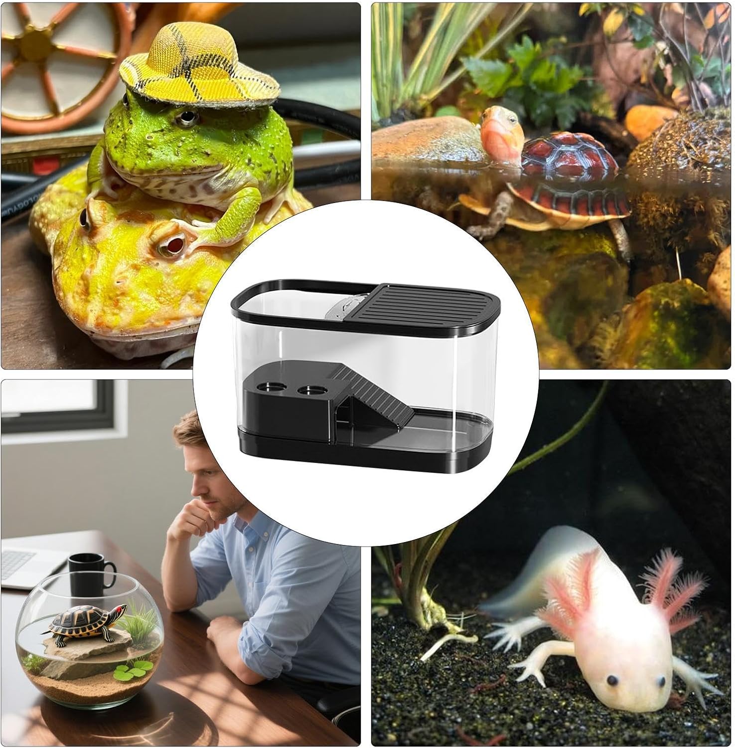 Reptile Terrarium Tank – CrystalClearr Turtle Aquarium, Anti-Escape Pet Enclosure, Sturdy Breeding Habitat Box | Suitable for Frogs, Geckos, Lizards, Snakes, Tortoises, and Other Small Amphibians