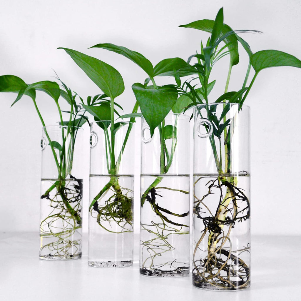 Wall Hanging Planter Glass Plant Propagation Station,Plant Terrarium Perfect for Home Garden Office Decoration Accessories-4 Cylinder Shape Container