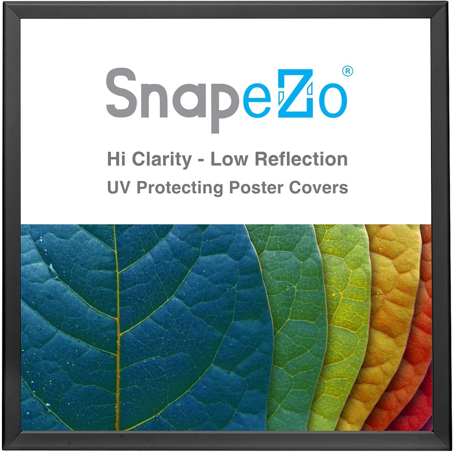 SnapeZo Poster Frame 36x36, Black, 1.25 Inch Aluminum Profile, Front-Loading Snap Frame, Wall Mounting, Professional Series