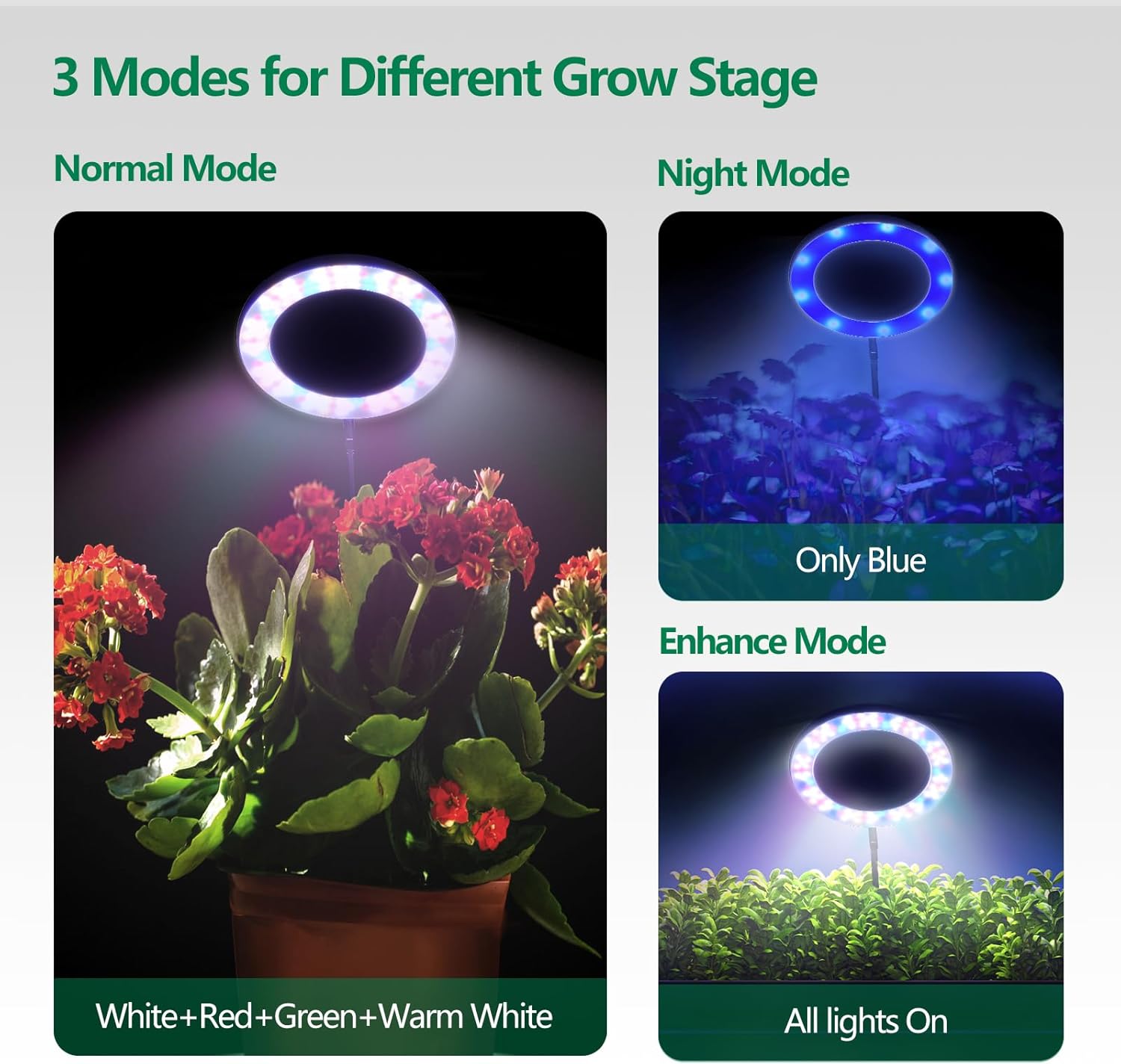 WaterRebirth 6.3 inch Grow Lights for Indoor Plants,Large Plant Light with 3 Timers, 10 Level Dimmable Brightness, Full Spectrum Plant Lamp, Height Adjustable for Tall Plants