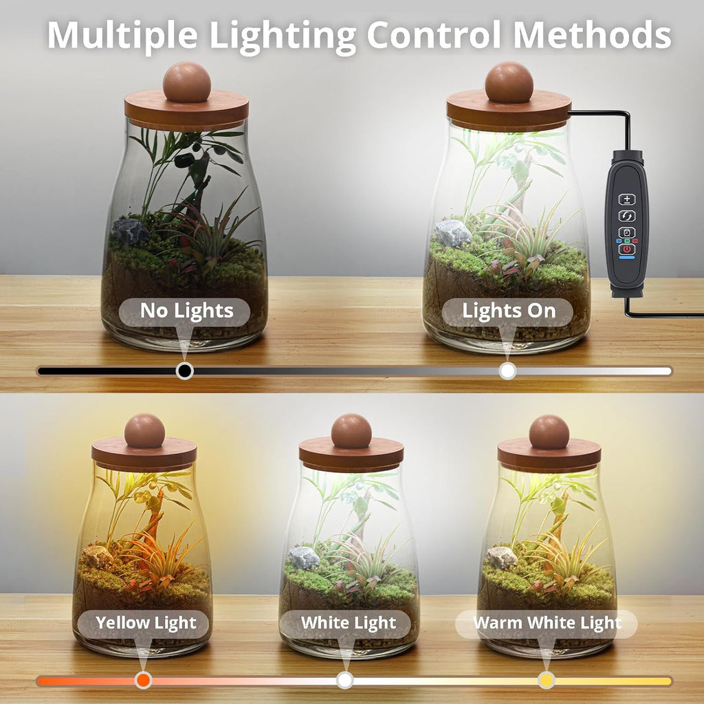 Desktop Glass Plant Terrarium with Grow Light, Plants Propagation Station for Moss,Succulent,Miniature Gardening Landscape,Betta Fish Tank,Desktop Decorations for Home and Office, Plant Lovers Gift